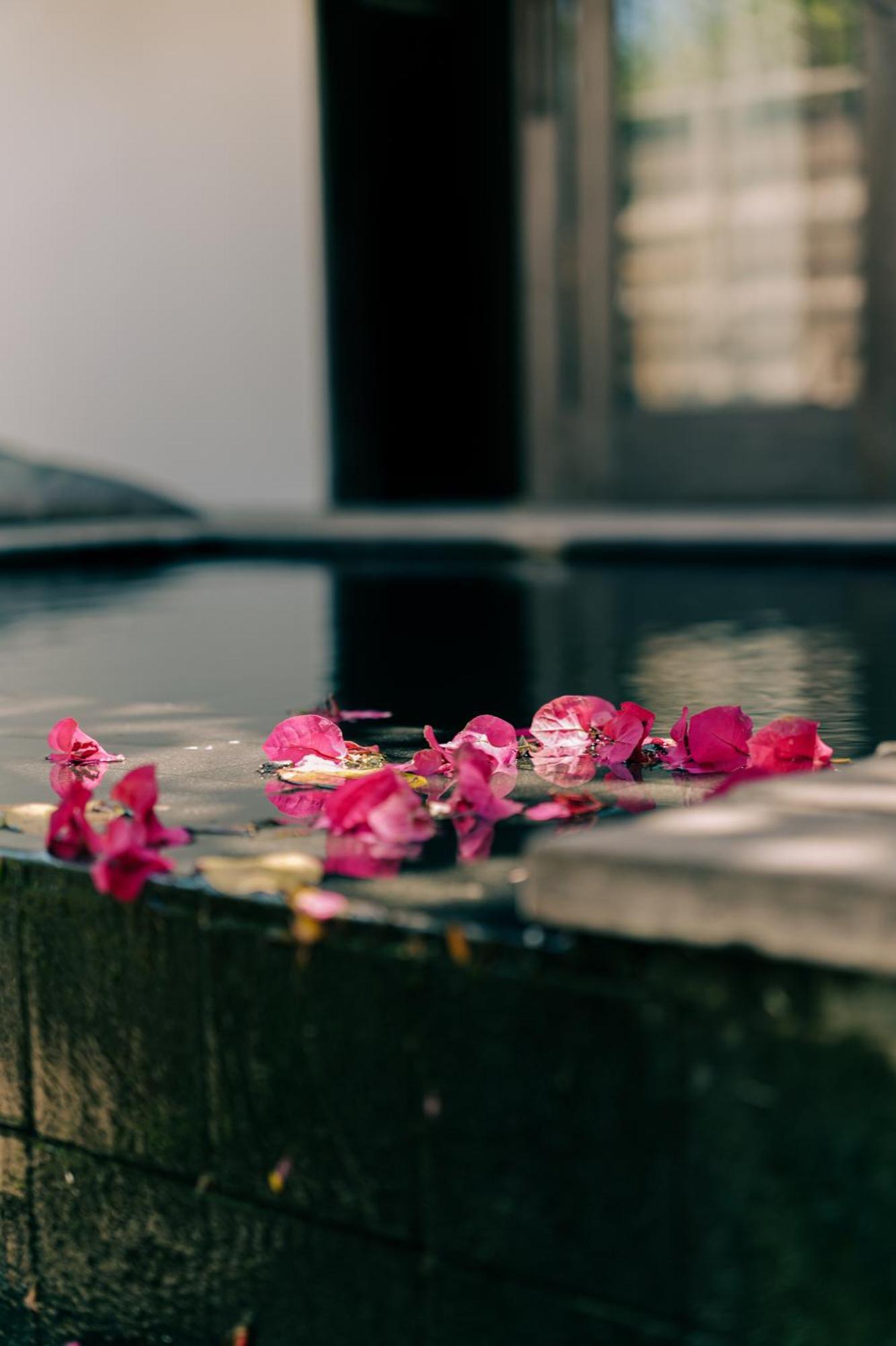Anacardier Prive Hotel อาชินส์ ภายนอก รูปภาพ